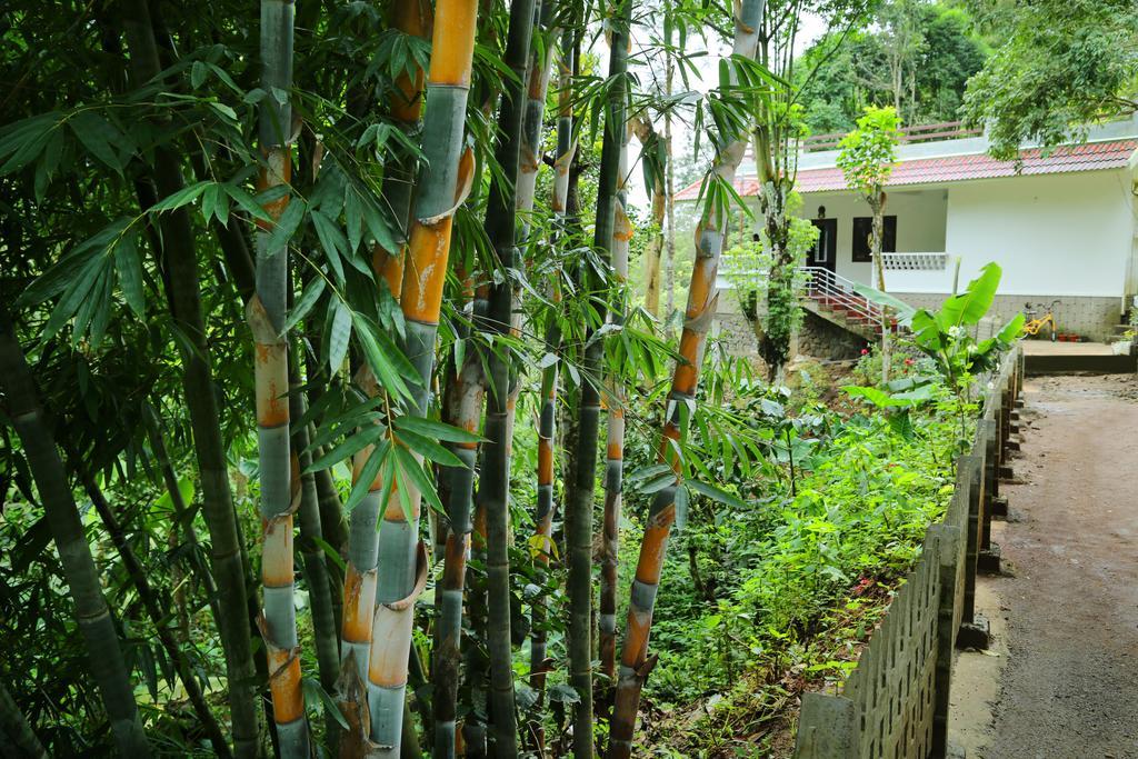 Spring And Valley View Thekkady Εξωτερικό φωτογραφία